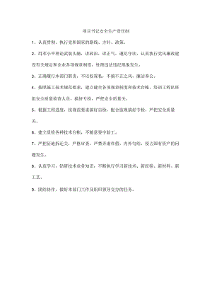项目书记安全生产责任制.docx