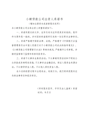 出资人承诺书.docx