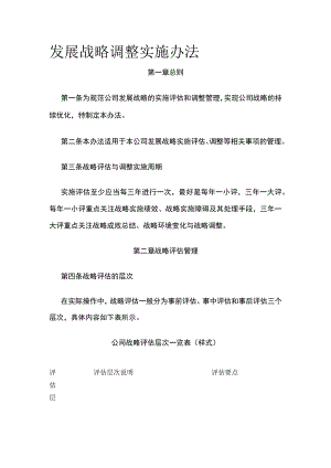 发展战略调整实施办法全.docx