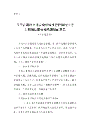 关于在道路交通安全领域推行轻微违法行为现场劝阻告知承诺制的意见（征求意见稿）.docx