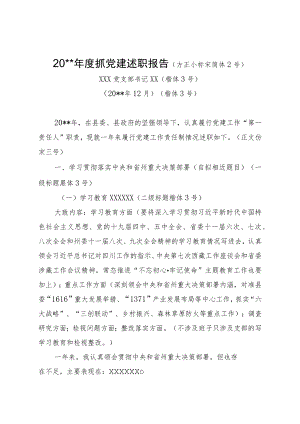 20xx年度抓党建述职报告模板.docx