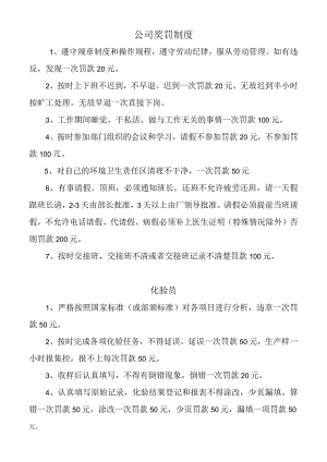 公司奖罚制度.docx