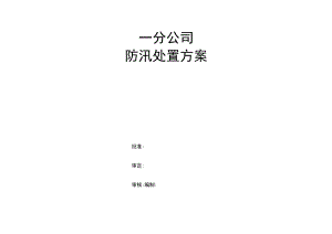 防汛处置方案.docx