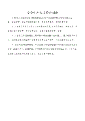 安全生产专项检查制度.docx