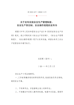 责任制制度操作规程实施发布令.docx