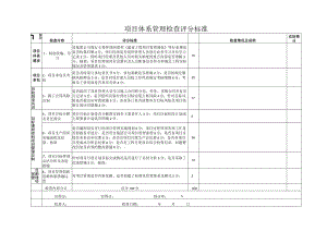 项目综合管理评分标准.docx