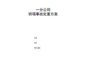 坍塌处置方案.docx