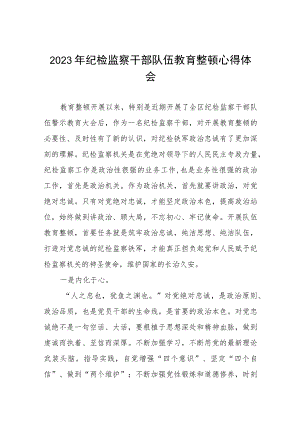 (最新范文)2023年纪检监察干部队伍教育整顿心得体会十一篇.docx