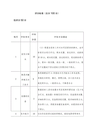 评分标准总分100分.docx