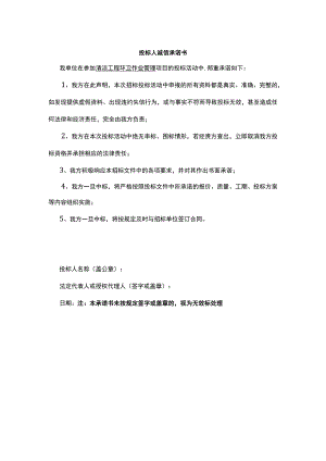投标人诚信承诺书.docx