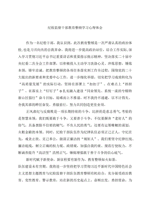 纪检监察干部教育整顿学习心得体会精选5篇.docx