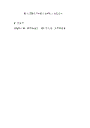 梅花正冒着严寒独自盛开相对应的诗句.docx