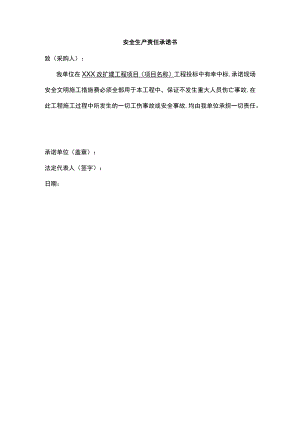 安全生产责任承诺书.docx