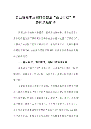 2023开展夏季治安打击整治“百日行动”工作总结四篇合集.docx