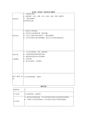 培训班（足球班）专业培训计划教学.docx