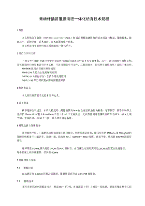青杨扦插苗覆膜滴肥一体化培育技术规程.docx