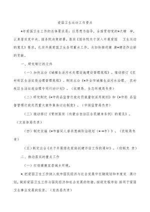 爱国卫生运动工作要点.docx