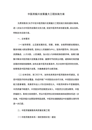 中医药振兴发展重大工程实施方案.docx