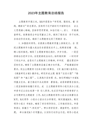 2023年主题教育总结报告.docx