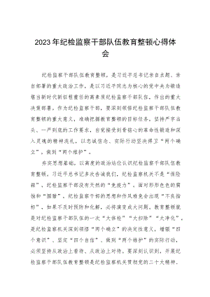 最新版2023年全国纪检监察干部队伍教育整顿心得体会十四篇.docx
