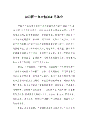 青年干部学习团十九大精神心得体会.docx