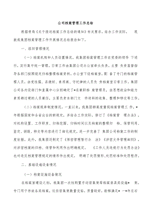 公司档案管理工作总结.docx