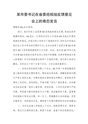 某市委书记在省委巡视组反馈意见会上的表态发言.docx