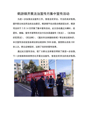 鹤游镇开展法治宣传月集中宣传活动.docx