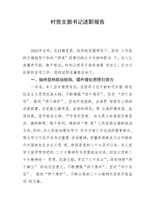 村党支部书记述职报告.docx
