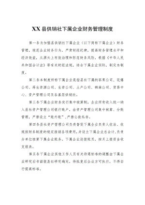 XX县供销社下属企业财务管理制度.docx