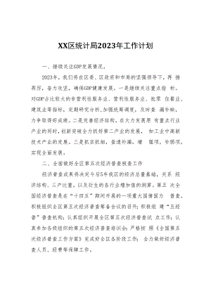 XX区统计局2023年工作计划.docx