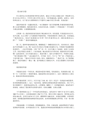 外婆作文400字.docx
