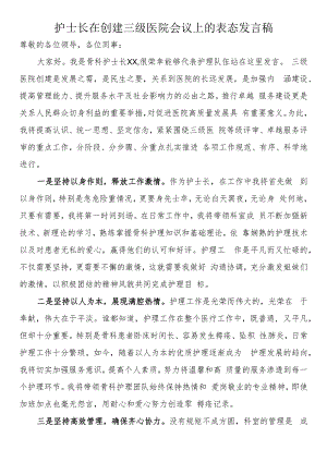 护士长在创建三级医院会议上的表态发言稿.docx
