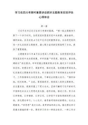 2023年学习在四川考察时重要讲话精神抓好主题教育实效评估心得体会研讨发言3篇.docx