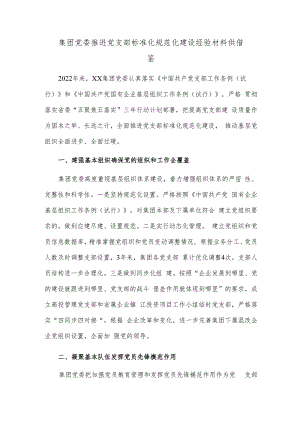 集团党委推进党支部标准化规范化建设经验材料供借鉴.docx
