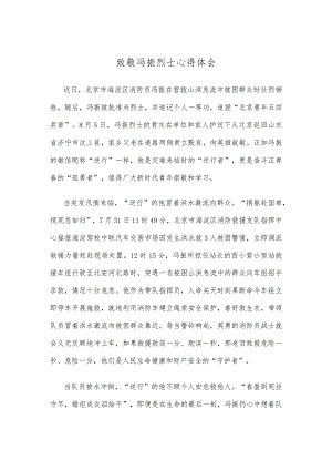 致敬冯振烈士心得体会.docx