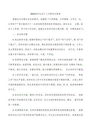 2023组织生活个人对照发言提纲.docx