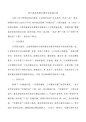 审计基层党建双增双创实施方案.docx