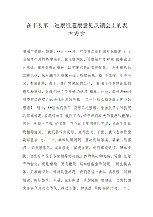 在市委第二巡察组巡察意见反馈会上的表态发言.docx