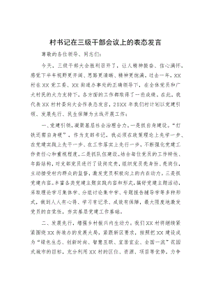 村书记在三级干部会议上的表态发言.docx