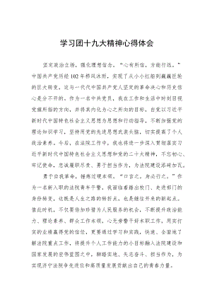 学习青年团第十九次全国代表大会精神心得体会七篇.docx