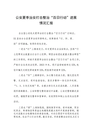 夏季治安打击整治百日行动情况汇报六篇.docx