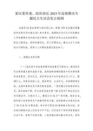 某区委常委、组织部长2023年巡视整改专题民主生活会发言提纲.docx