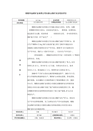 铜陵市金顺矿业有限公司白家山铜矿安全现状评价.docx