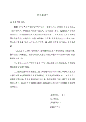 安全承诺书(2023年).docx