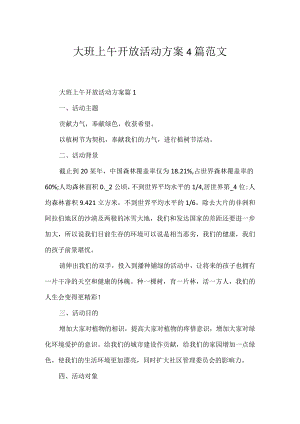 大班上午开放活动方案4篇范文.docx