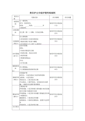 责任护士分级护理考核细则.docx