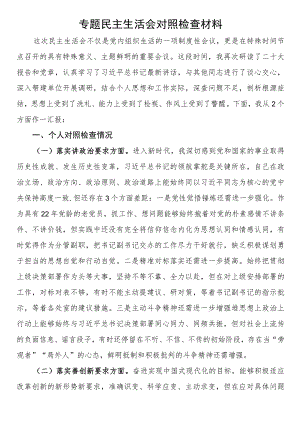 专题民主生活会对照检查材料范文.docx
