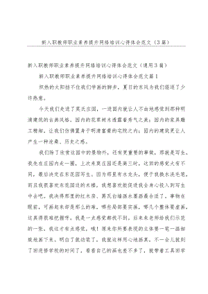 新入职教师职业素养提升网络培训心得体会范文（3篇）.docx