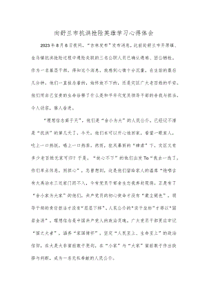 向舒兰市抗洪抢险英雄学习心得体会.docx